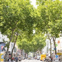 Stadt Karlsruhe